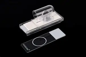 雷竞技网站 -qu110点c恩