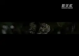 >h蘗馐狁動Gt偘-?l?蝮A幂敻x偐h@9鸢}+b的简单介绍